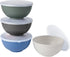 Shopwithgreen 4 Pcs Wheat Straw Cereal Bowls with Dust-Proof Lid, 24 OZ, Microwave & Dishwasher Safe for Kitchen,