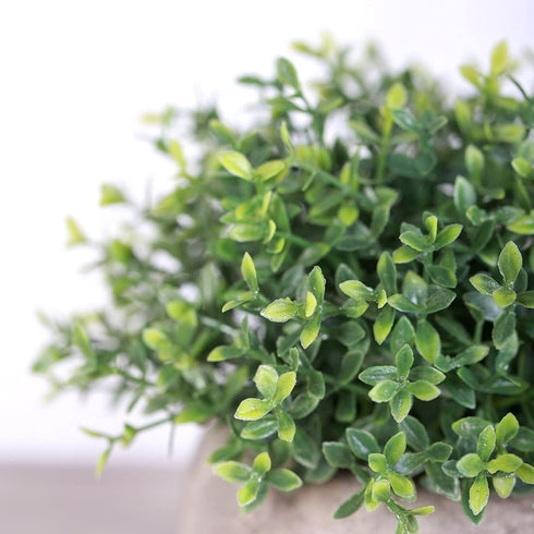 HC STAR Artificial Mini Fake Plant - Potted Decorative Lifelike Green Plants for Indoor and Outdoor Room Decor