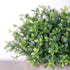HC STAR Artificial Mini Fake Plant - Potted Decorative Lifelike Green Plants for Indoor and Outdoor Room Decor