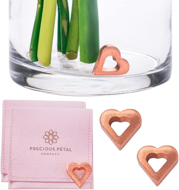 Flower Food Alternative for Fresh Cut Flowers | Copper Charm Keeps Flower Water Clean and Clear | Reusable (2 Pack)