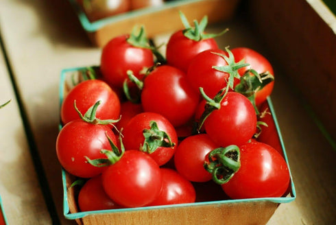 VAACNEE 100 MOCCUROD Seeds Indoor Cherry Tomato Dwarf Red and Yellow Tomato Rare Vegetable Heirloom Seeds