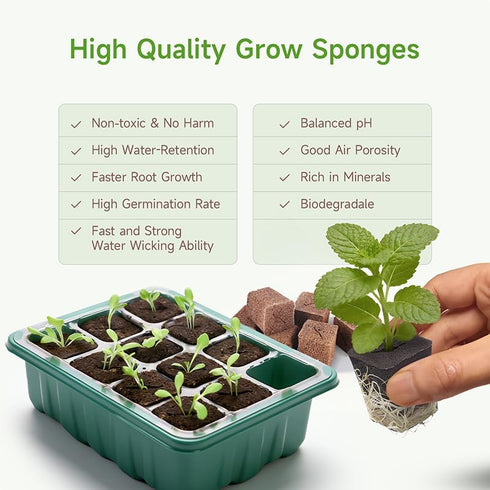 SIETAMIS 50 Packs Cuttage Grow Sponges, Pods Root Growth Sponge Eco Friendly PH Balance, Square Sponge Replacement Part