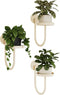 Bamworld Wall Plant Holder Wall Planters for Indoor Plants Plant Hanger Indoor