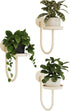 Bamworld Wall Plant Holder Wall Planters for Indoor Plants Plant Hanger Indoor