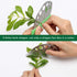 Luxiv Herb Scissors and Stripper Set - 5-Blades Stainless Steel Herb Cutter Tools with Safe Cover and Cleaning Comb