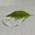 Clear Table Protector Thick Transparent Plastic Tablecloth, Waterproof and Oil-Proof for Round Dinner Table – 54 Inch