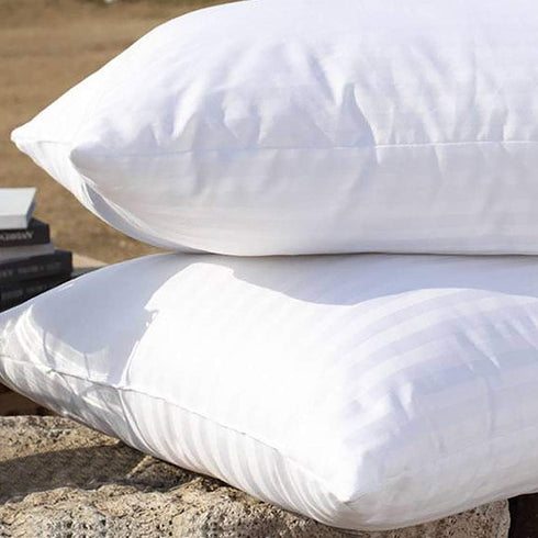EvZ Premium Pillow Insert Sham - Square Form Polyester (18" X 18", Set of 2)