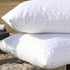EvZ Premium Pillow Insert Sham - Square Form Polyester (18" X 18", Set of 2)