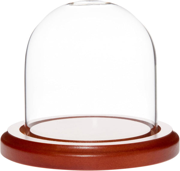 Plymor 3" x 3" Glass Display Dome Cloche with Walnut Base