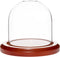 Plymor 3" x 3" Glass Display Dome Cloche with Walnut Base