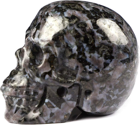 Skullis 2.0" Gabbro Crystal Skull - Hand Carved Gemstone Fine Art Sculpture, Reiki Healing Stone Statue