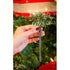 Scentsicles O Christmas Tree Bottle Bundle, Model: 01631-001T
