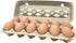 50 Pack Paper Pulp Egg Cartons