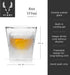 Viski Glacier Whiskey Glass - Double Walled Chilling Glass, 6 Ounces, Clear Glass, Set of 1