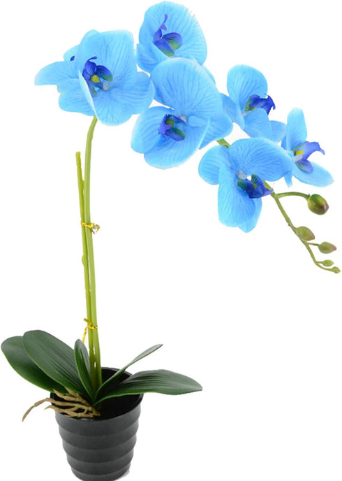 20" LED Blossom Orchid Flower Pot - Lighted Bonsai with 7 Real Touch Flowers and Battery Pot