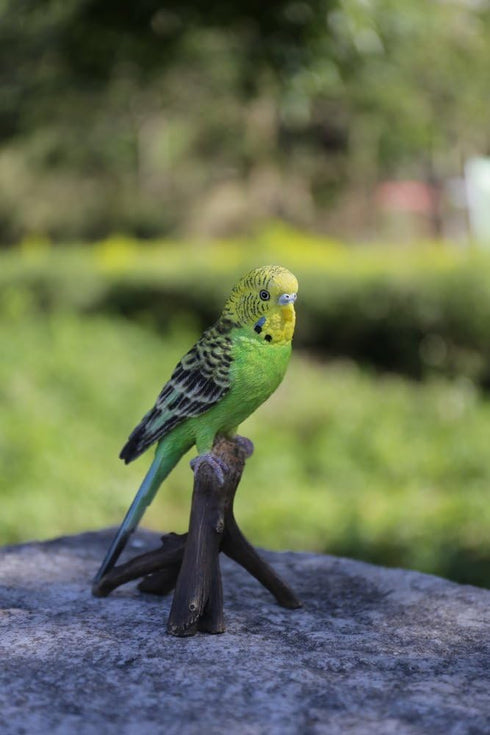 Hi-Line Gift Ltd Green Budgie on Branch Statue