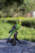 Hi-Line Gift Ltd Green Budgie on Branch Statue
