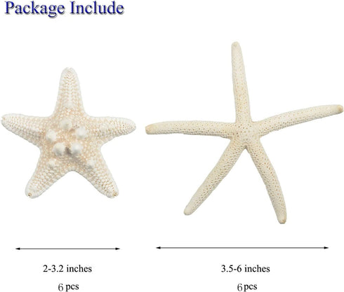 Jangostor 12 PCS Mixed Starfish - 2-6 Inch Natural Seashells for Wedding Decor, Beach Theme Party, DIY Crafts