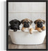 Mastiff in Bathtub Wall Art Print Poster, Dog Lover Puppy Nursery Bathroom