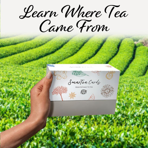 SmarTea Cards - Complete Beginners Guide to Tea - Flashcards on Tea History, Variety, Benefits, Pairing, Gifts
