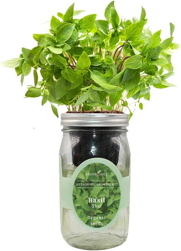 Hydroponic Herb Growing Kit, Self-Watering Mason Jar Herb Garden Starter Kit Indoor,