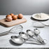Lindy's 4-Piece Stainless Steel Measuring Scoop Set, Silver, 9 Inches Long