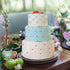 Kissbuty Wedding Cake Stencil Template, 5 Pcs Plastic Spray Floral Cake Decorating Tools (Diamond Quilted Grid Texture)