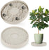 2 Pack Plant Caddy with Wheels,14" Rolling Plant Stand 165 LBS Heavy