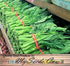 MySeeds.Co - BIG PACK Seeds Pack (1,500) Pack Big - Chinese Broccoli, Kailan GAI LAN Seeds - Used in Cantonese Cuisine