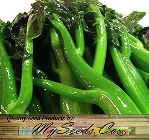 MySeeds.Co - BIG PACK Seeds Pack (1,500) Pack Big - Chinese Broccoli, Kailan GAI LAN Seeds - Used in Cantonese Cuisine