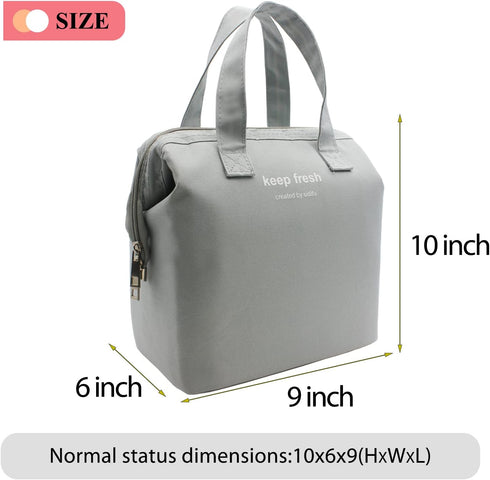 Mziart Insulated Lunch Bag, Simple Bento Cooler Tote for Lunch Box for Women Men Adult Picnic Working Hiking Beach