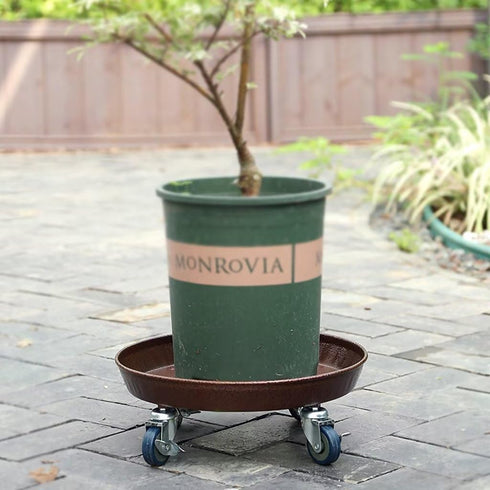 ARTLINE 10" 160lbs 2 Pack Round Plant Stand with Lockable Wheels, Heavy Duty for Indoor Outdoor, Large Rolling Dolly