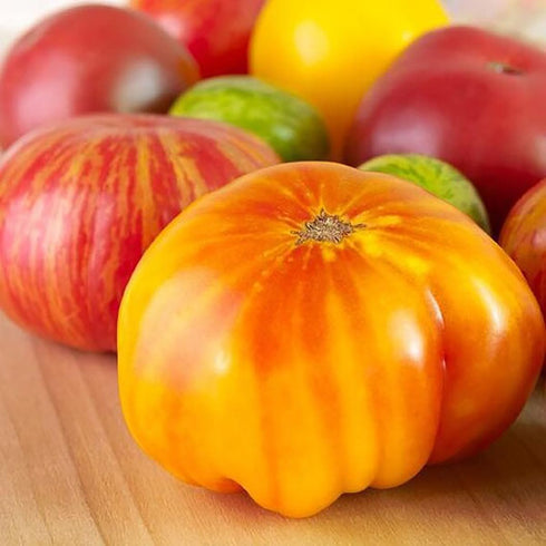 20 Rainbow Cherry Tomato Seeds - Seeds - Stunning Colors and Delicious Tomatoes for Home Growing, Non GMO