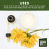 1 lb Arnica Flowers Whole, by Herb Co, Used to Produce Infused Oils for Topical Use