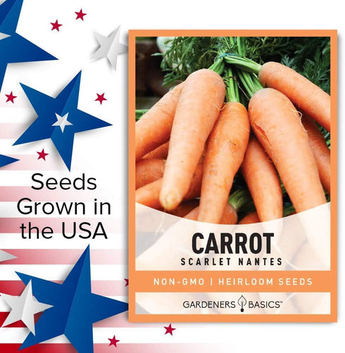 2 Gardeners Basics Carrot Seeds for Planting - Scarlet Nantes - is A Great Heirloom, Non-GMO Vegetable Variety, Grams