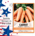 2 Gardeners Basics Carrot Seeds for Planting - Scarlet Nantes - is A Great Heirloom, Non-GMO Vegetable Variety, Grams