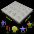 Sakolla Marine Theme Fondant Silicone Molds for Cake Decoration, Seashell, Conch, Seahorse, Starfish, Tortoise