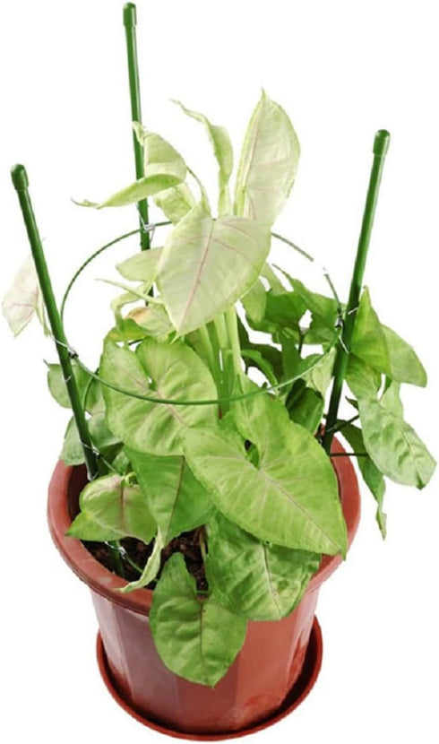Orgrimmar 17.7" Balcony(Pack 2) Vine Trellis Support Flowers Plants Cage Triple Plastic Pillar with Iron Rings Vine