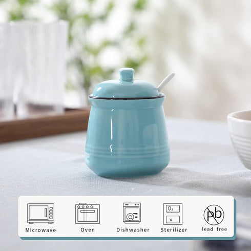 HAOTOP Porcelain Salt Bowl with Lid and Spoon,Ceramic Sugar Bowl 12oz (Turquoise) by HAOTOP