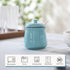HAOTOP Porcelain Salt Bowl with Lid and Spoon,Ceramic Sugar Bowl 12oz (Turquoise) by HAOTOP