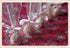 100 CAKE POP BAGS, 4W"x2D"x8H" Bottom Gusseted Clear Poly Favor for Large Size Cake Pops