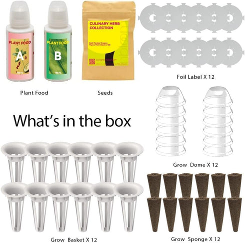 12 (350+ Shis0, Chic0ry) inbloom Culinary Herbs Seed Pod Kit for Hydroponics Growing System, Pods Seeds with Basil