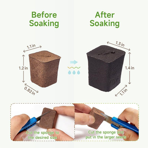 SIETAMIS 50 Packs Cuttage Grow Sponges, Pods Root Growth Sponge Eco Friendly PH Balance, Square Sponge Replacement Part
