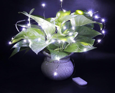 HDSHIMAO 3 Pack 6.6ft 20 Fairy Lights Battery Operated LED Mini String Lights Silver Wire Firefly Starry Lights