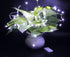 HDSHIMAO 3 Pack 6.6ft 20 Fairy Lights Battery Operated LED Mini String Lights Silver Wire Firefly Starry Lights