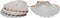 Natural Baking Shells, 3.75-Inches, Set of 4
