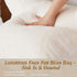 Reading Pillow with Arms for Sitting in Bed, Backrest Support Cushion Soft Back Pillow for Couch, Sofa & Floor, Dorm