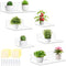 Pinkunn 6 Pack 4'' 6'' 9'' Clear Acrylic Floating Shelves for Wall