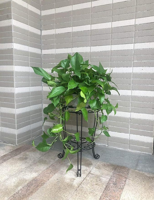 11.8 inches (18.9 INCHES Diameter Tall Metal Plant Stand for Indoor or Outdoor,Heavy Duty Flower Pot Stand Rack Holds