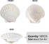 16PCS Sea Shells for Crafts 2.7"~3.5" White Scallop Shells, for Baking Shells Crafts DIY Painting Beaching Wedding Decoration Beach Natural Scallop Shells Bulk